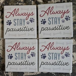 Always Stay Pawsitive 🐾 Coaster Set NEW